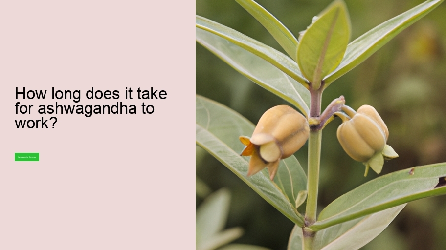 How long does it take for ashwagandha to work?