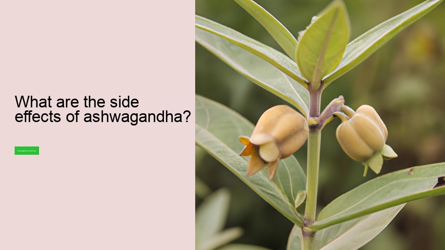 What are the side effects of ashwagandha?
