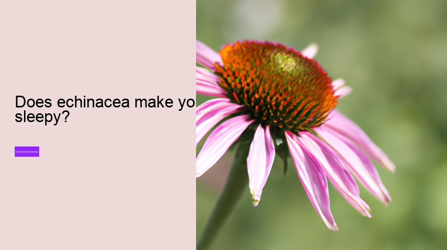 Does echinacea make you sleepy?