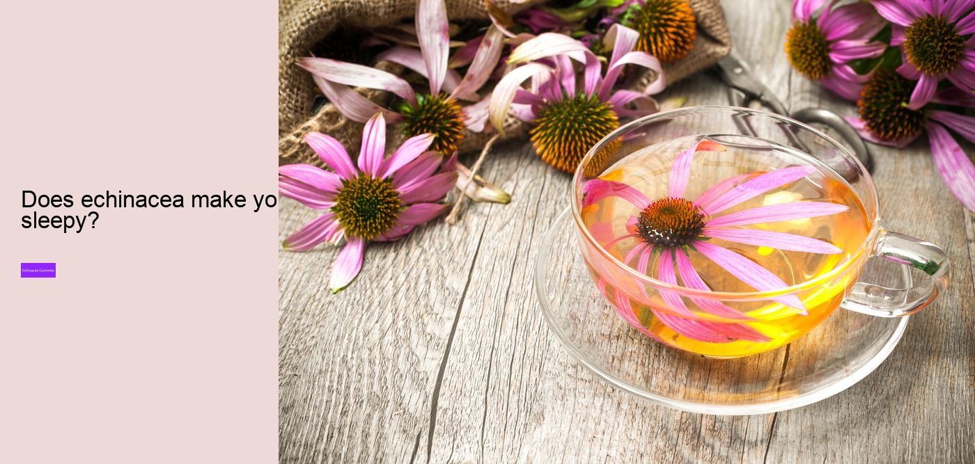 Does echinacea cause anxiety?