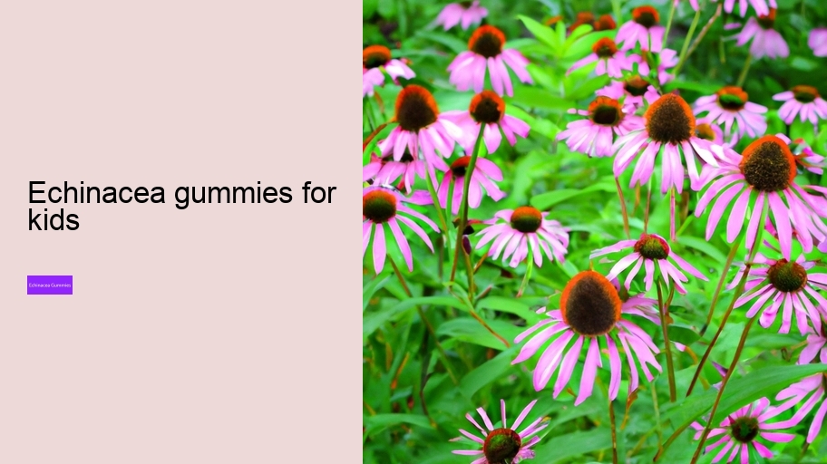 echinacea gummies for kids