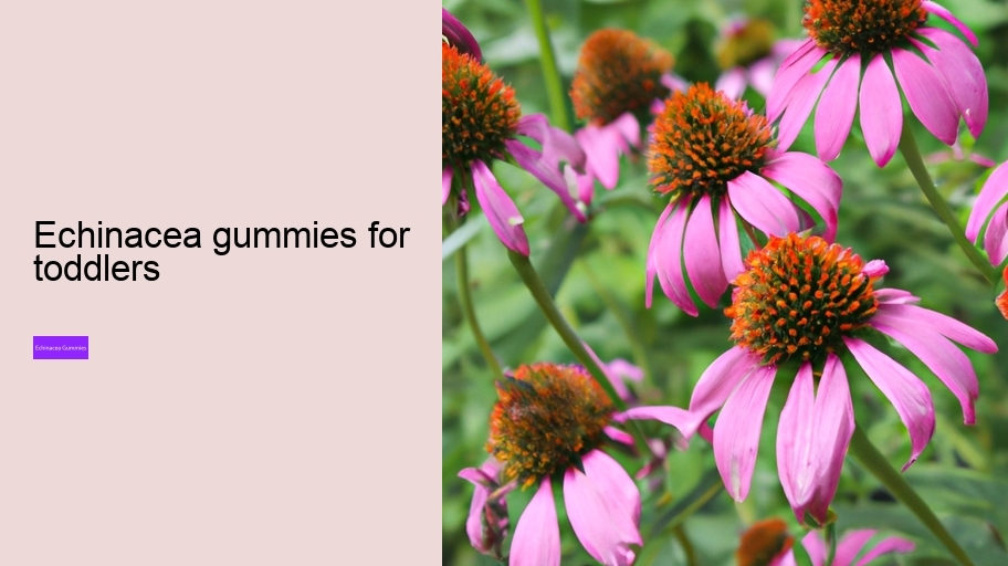 echinacea gummies for toddlers