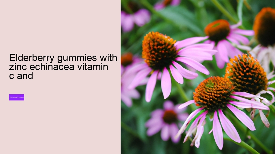 elderberry gummies with zinc echinacea vitamin c and