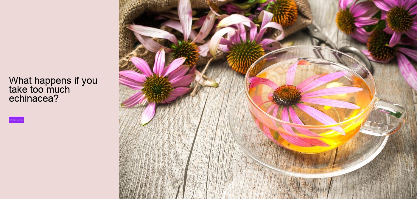 Does echinacea help when you are already sick?
