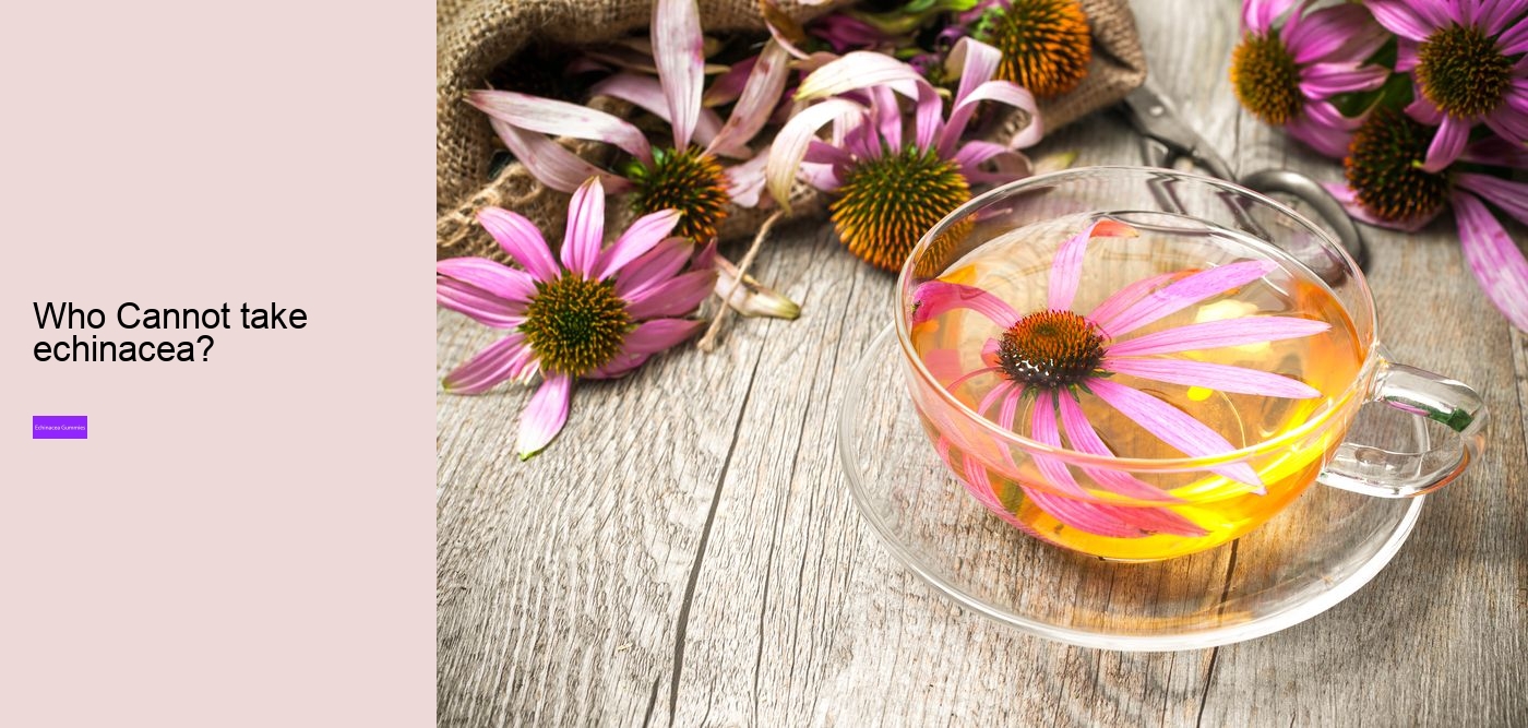 are there echinacea in gummies