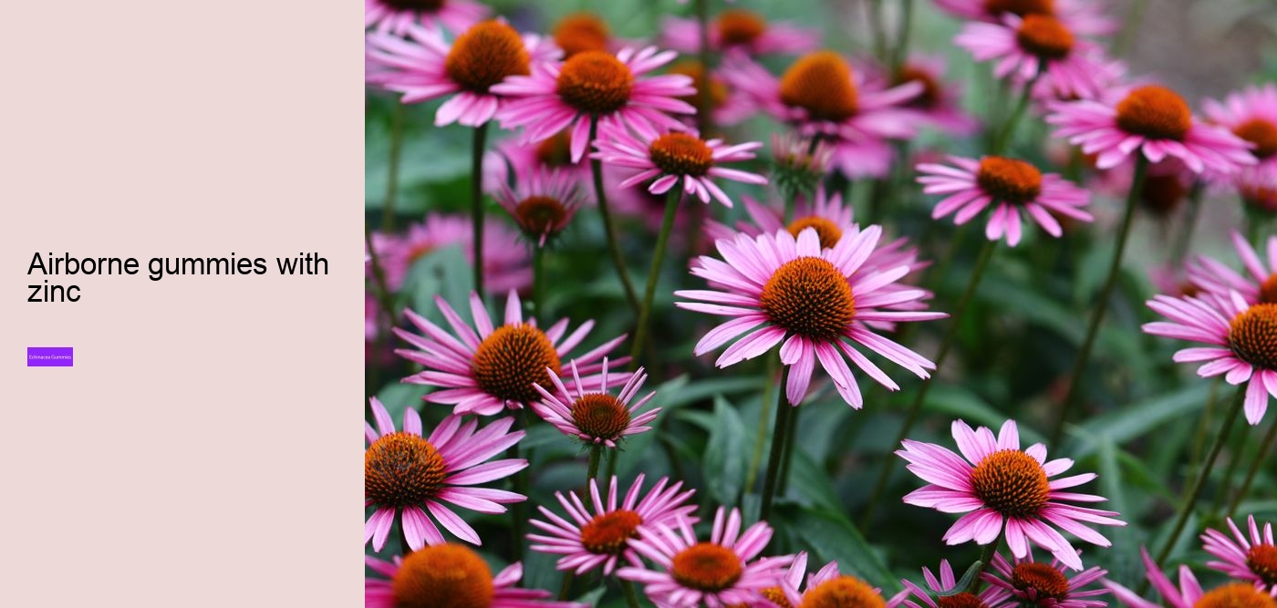 elderberry gummies with zinc and echinacea