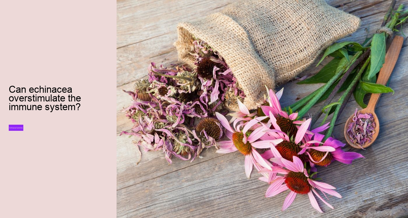 Does echinacea help with fatigue?