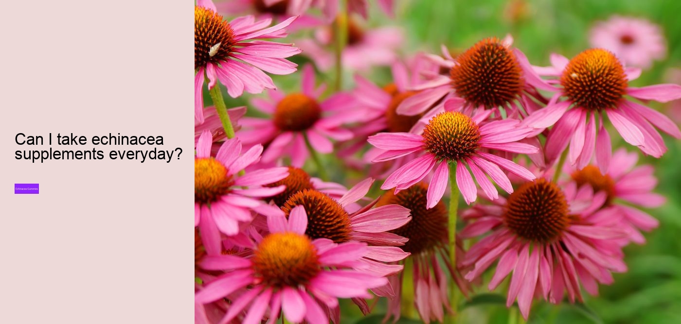 Who should not take echinacea?