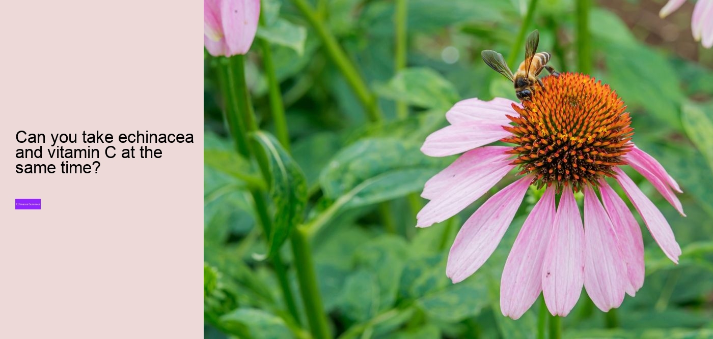 echinacea zinc and vitamin c