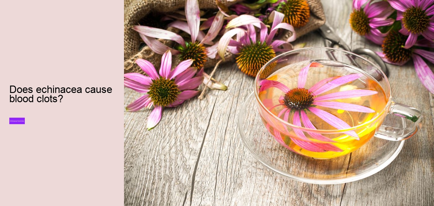 How long can you safely take echinacea?