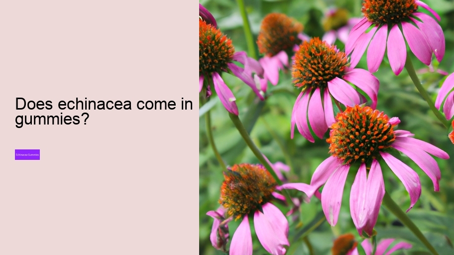 Does echinacea come in gummies?