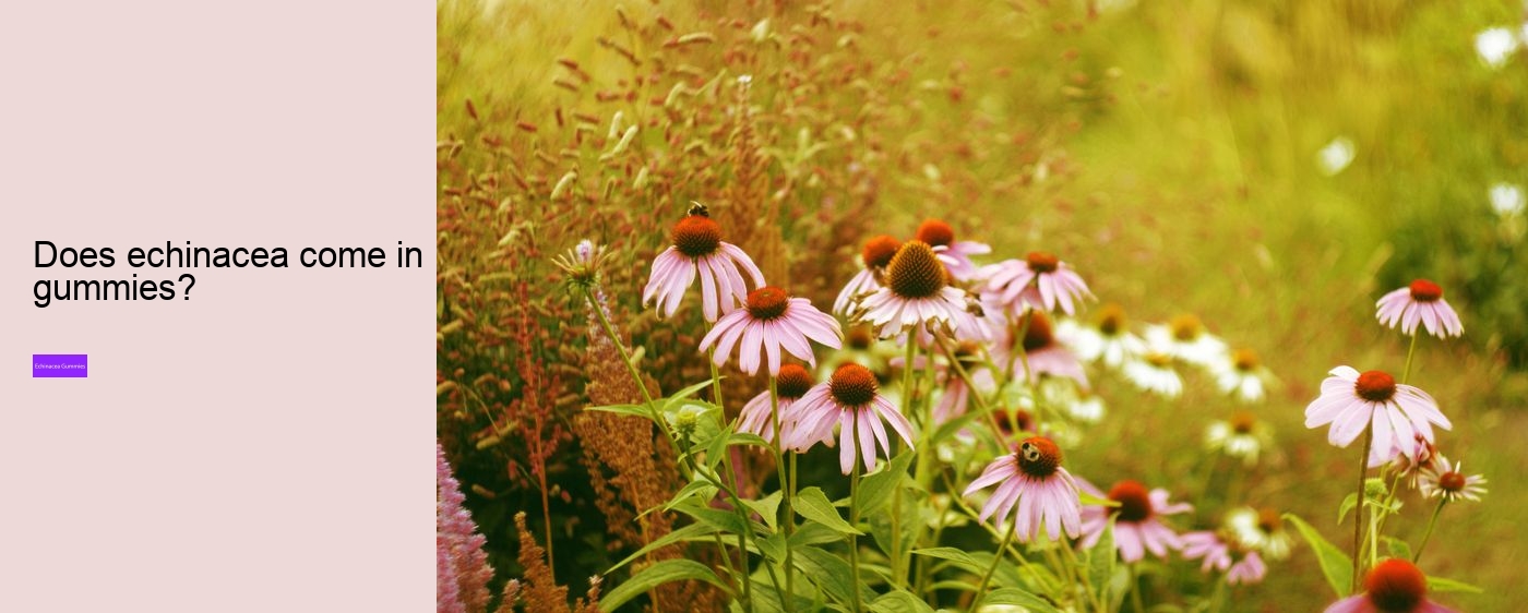 Does echinacea make you sleepy?