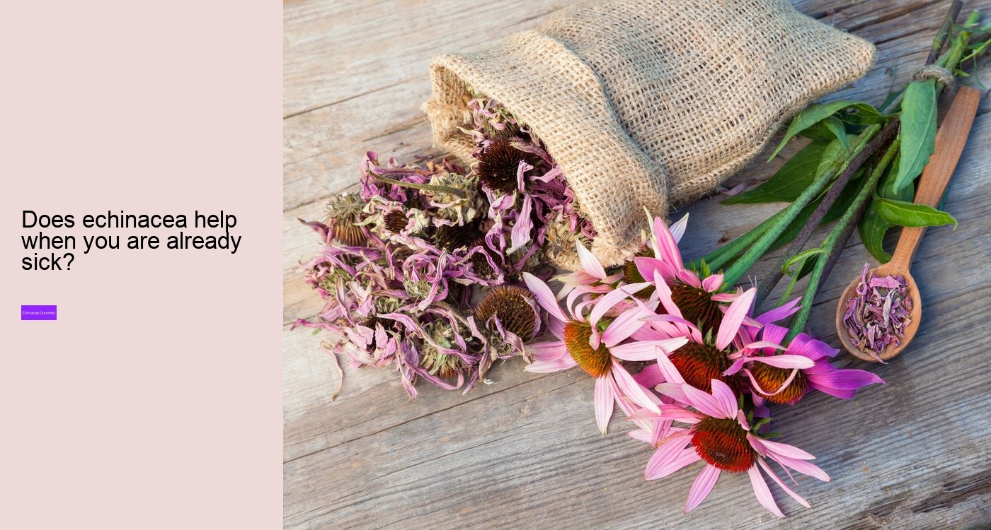 Can I take echinacea supplements everyday?