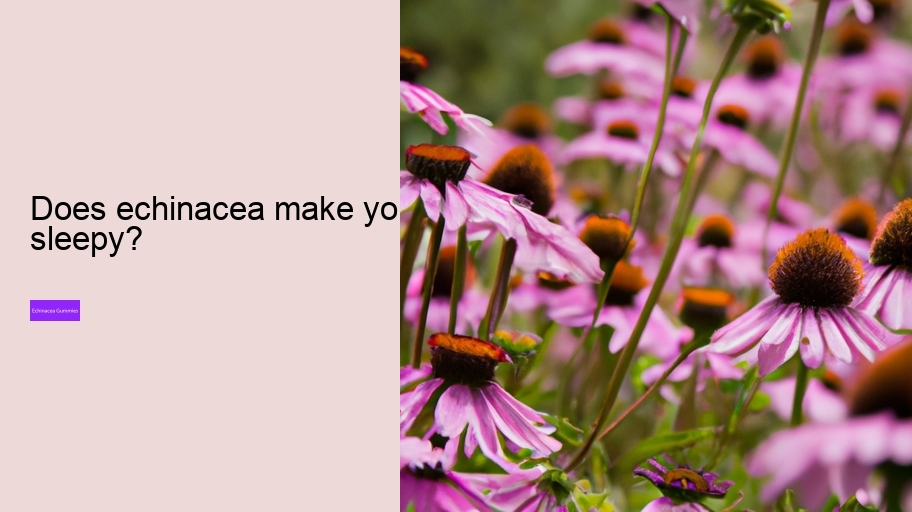 Does echinacea make you sleepy?