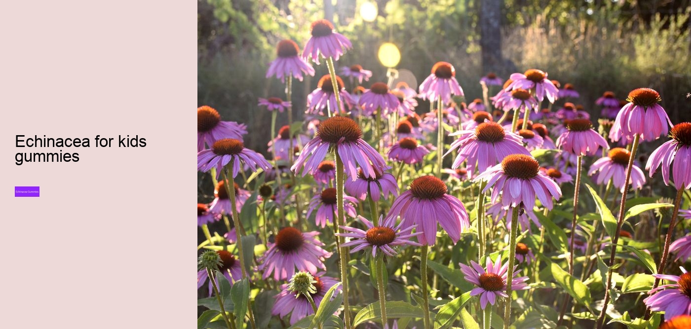 zinc echinacea vitamin c