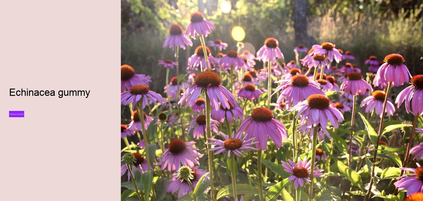 echinacea and zinc