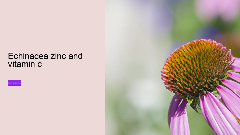 echinacea zinc and vitamin c