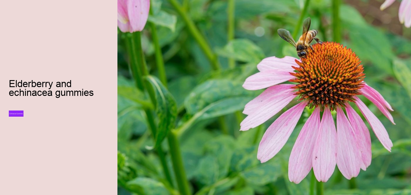 Does echinacea cause anxiety?