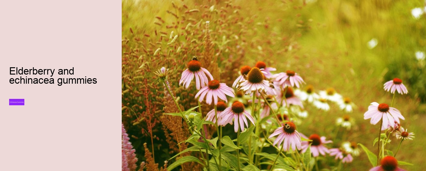 Does echinacea cleanse your body?