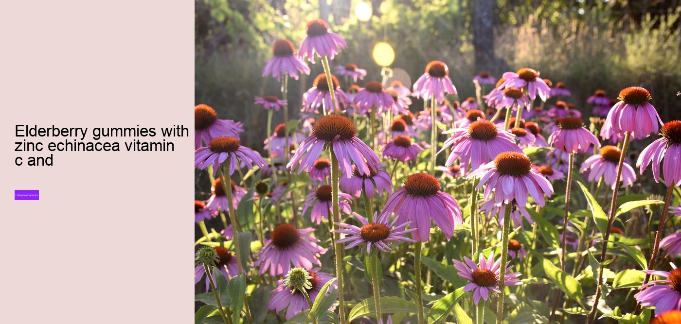 Will echinacea keep you awake?