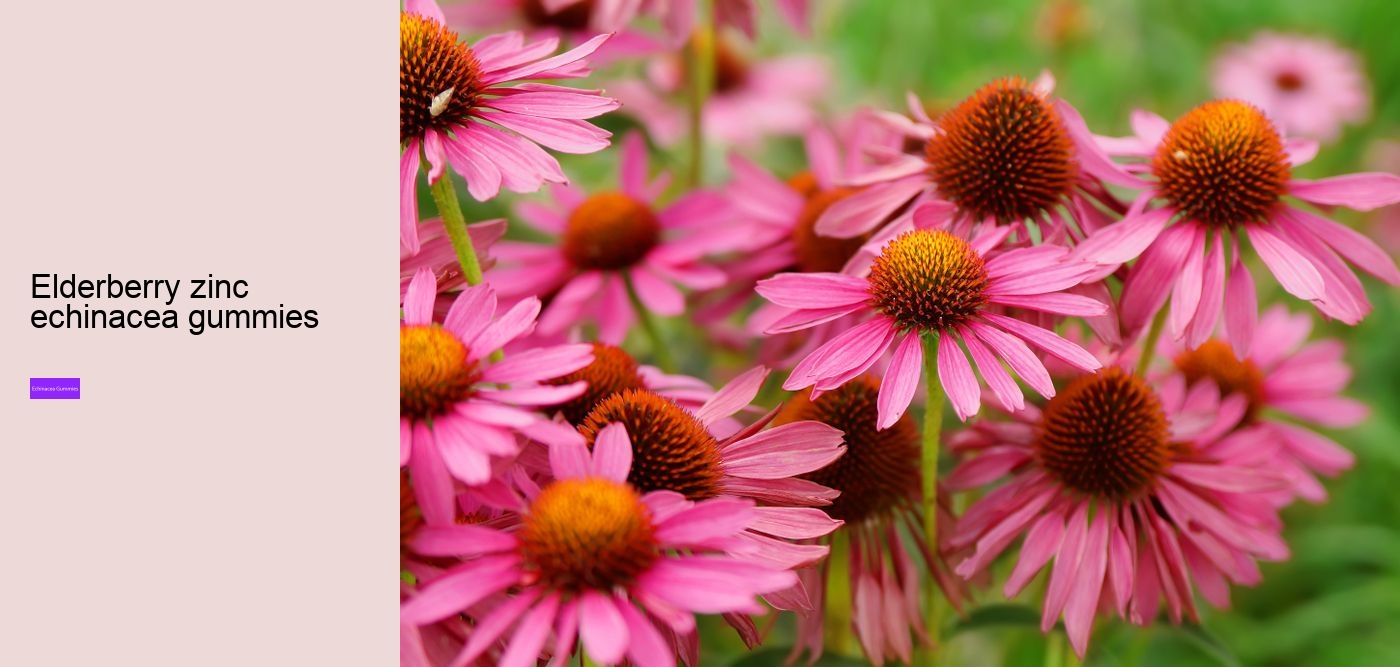 echinacea and zinc