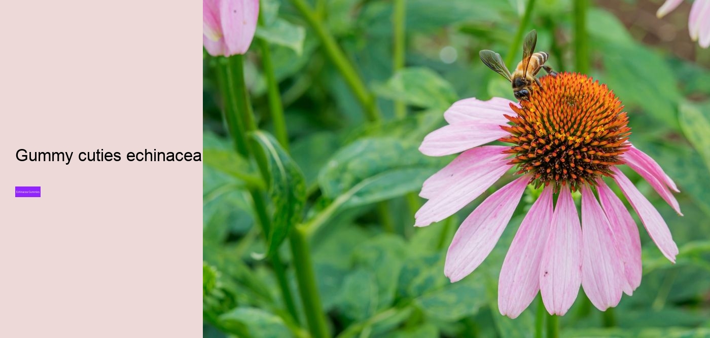 elderberry gummies with zinc and echinacea