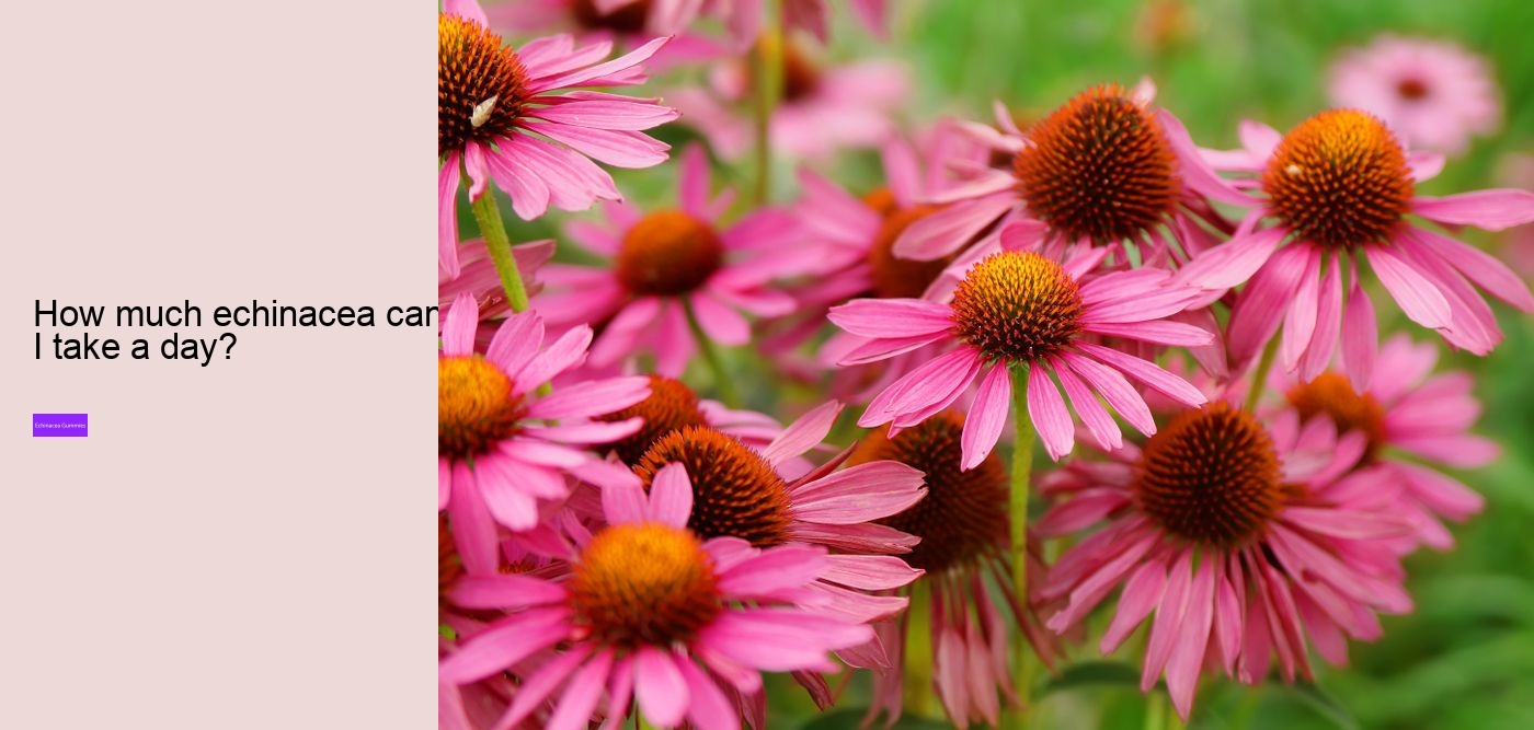 Is echinacea an anti-inflammatory?