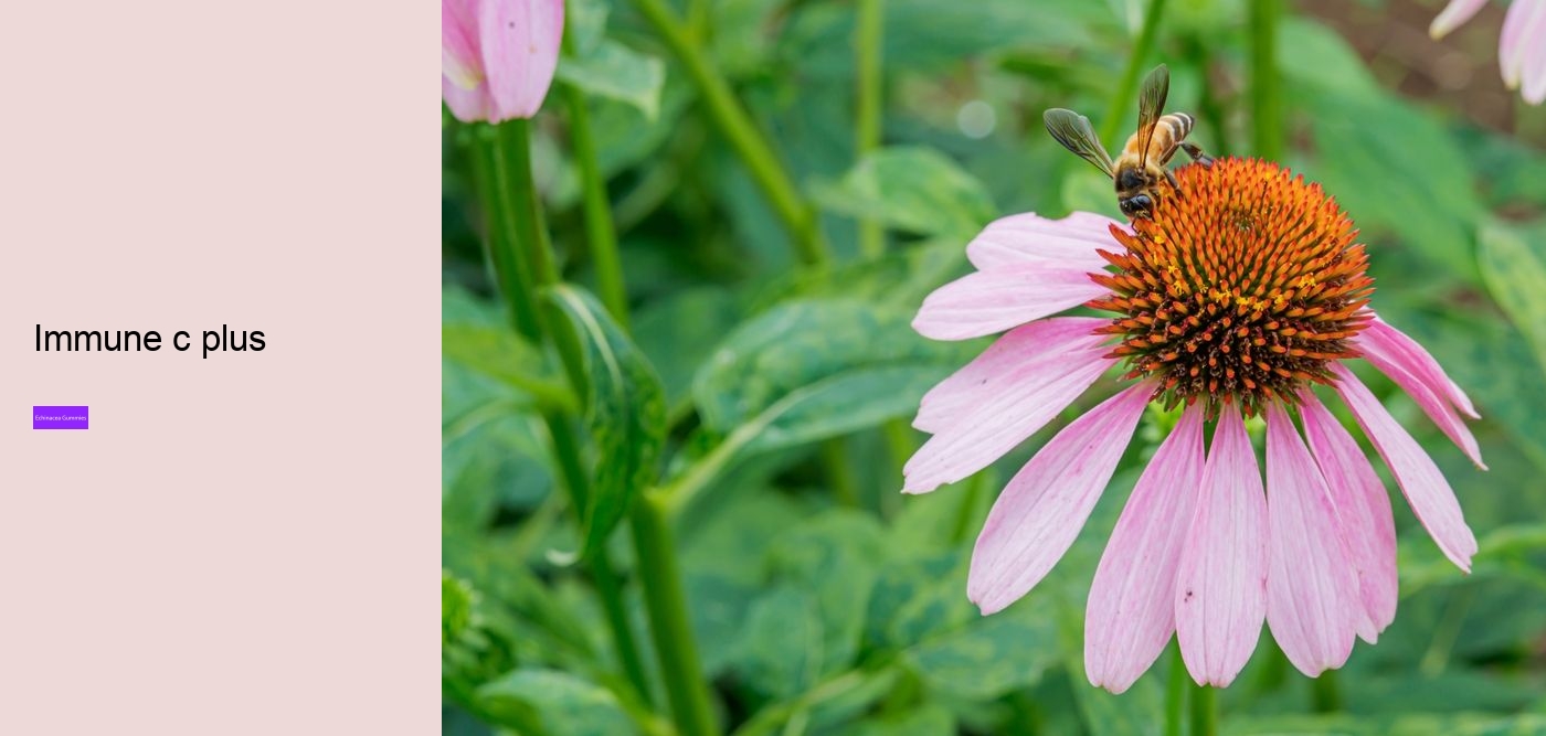 Is echinacea an anti-inflammatory?