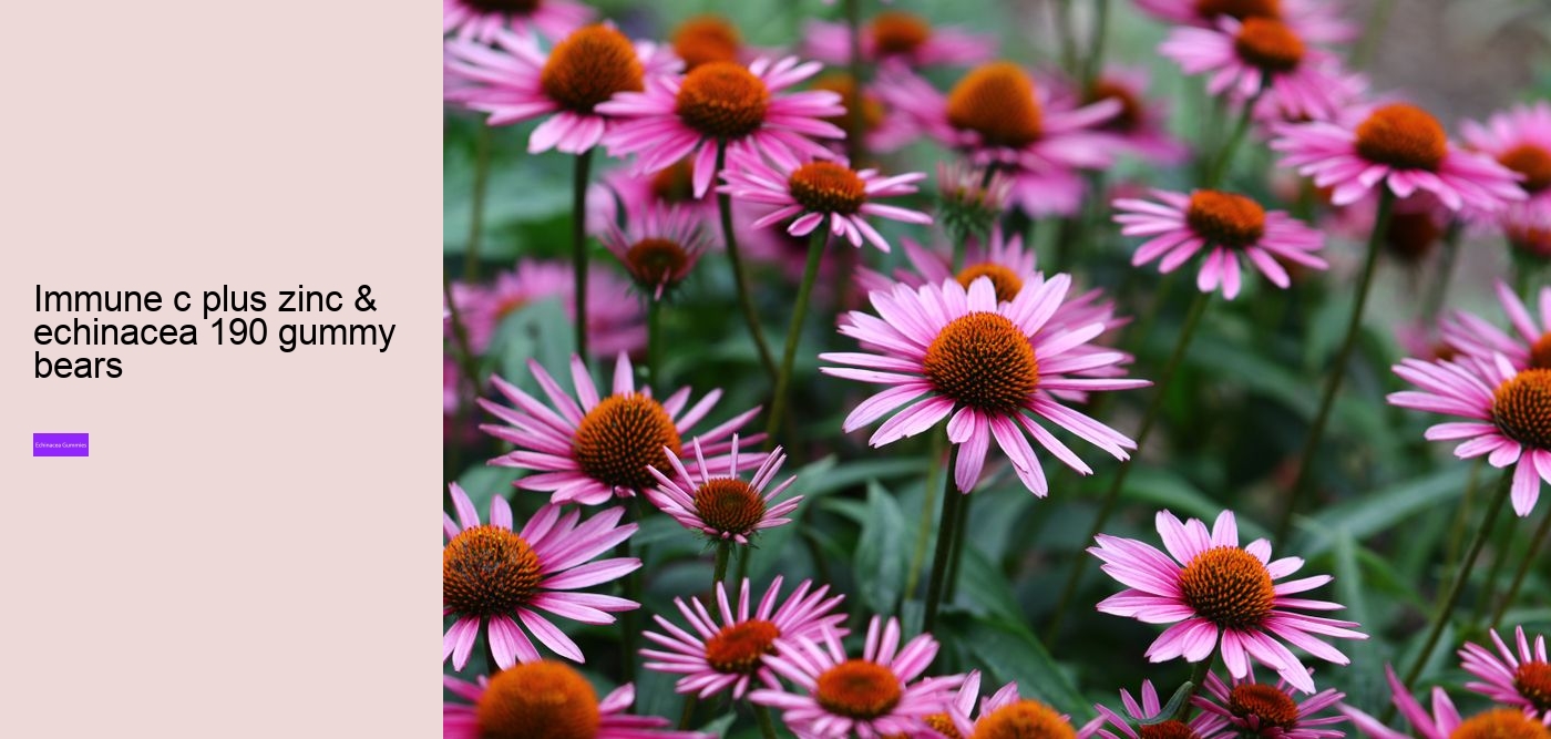 vitamin c and echinacea gummies