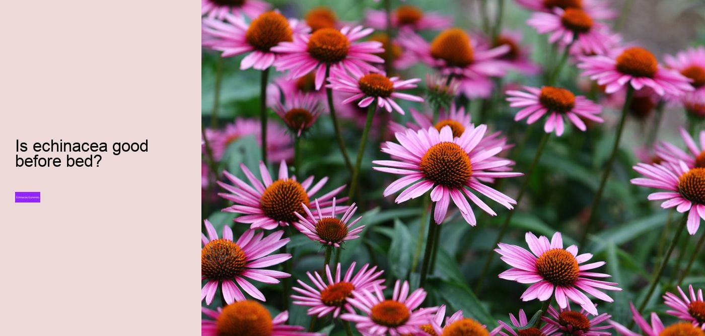 multivitamin gummies with echinacea