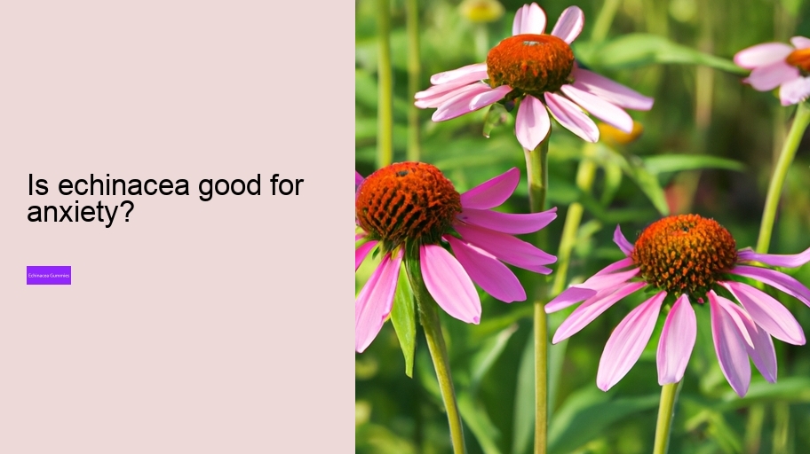 Is echinacea good for anxiety?