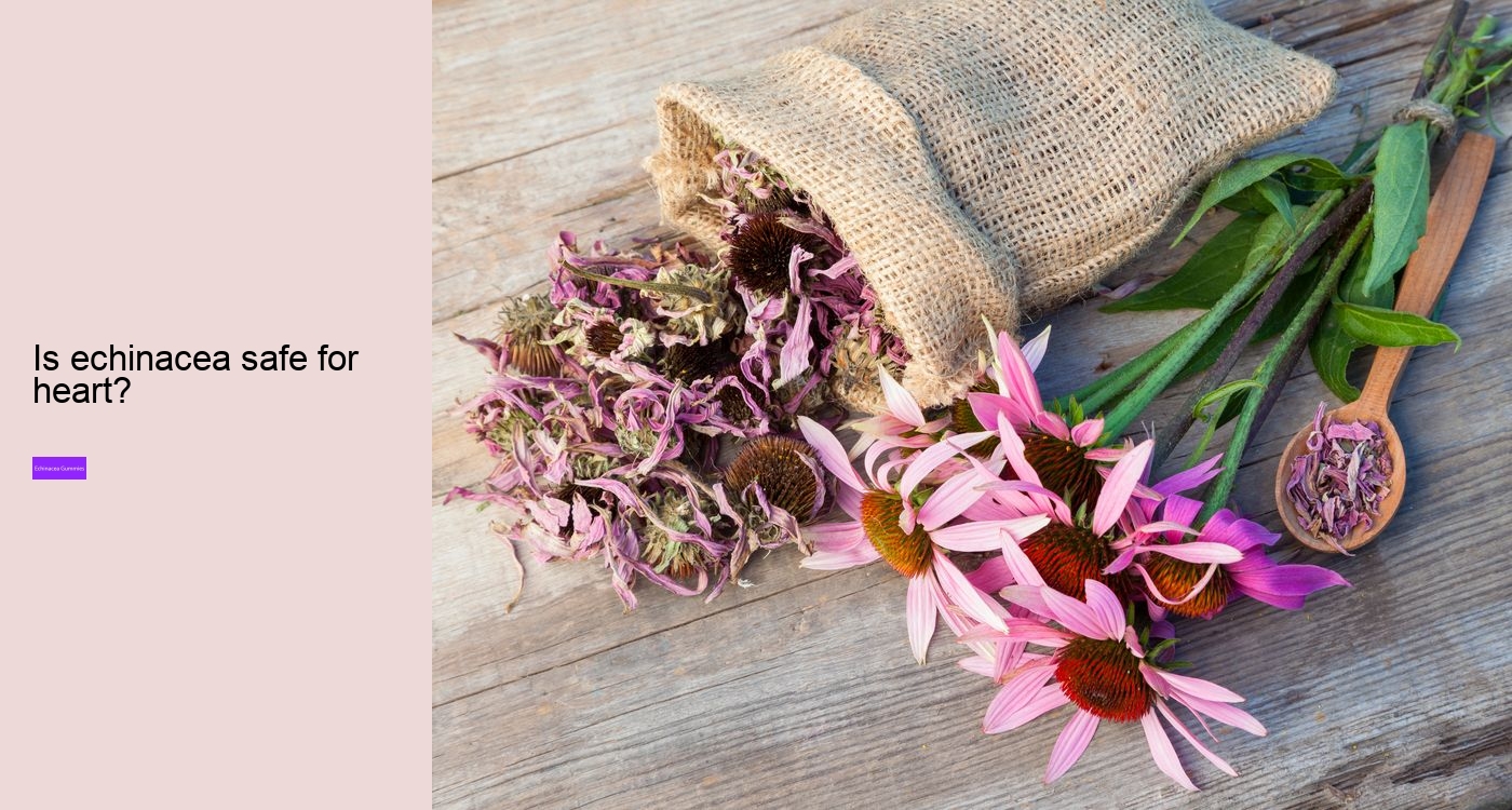 elderberry gummies with zinc and echinacea