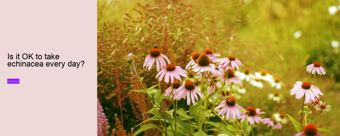 vitamins c and d zinc and echinacea