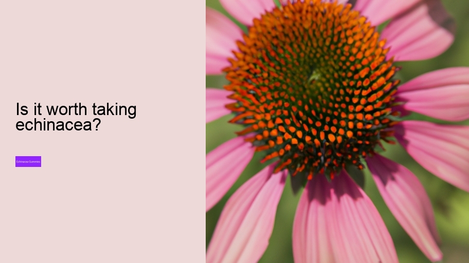 Is it worth taking echinacea?