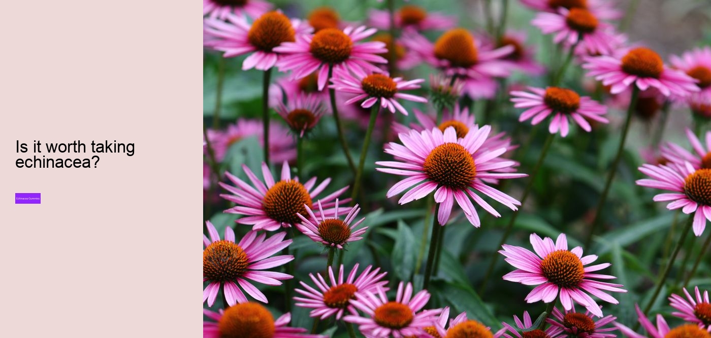 Does echinacea cause anxiety?