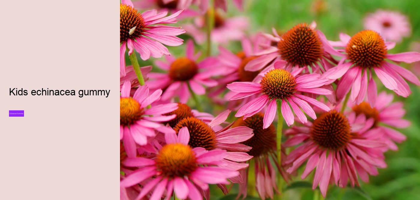 How long can you safely take echinacea?