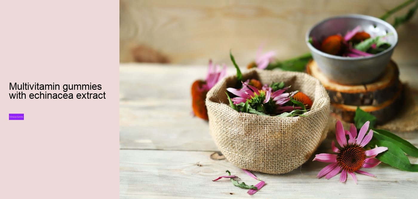 Is it OK to take echinacea every day?