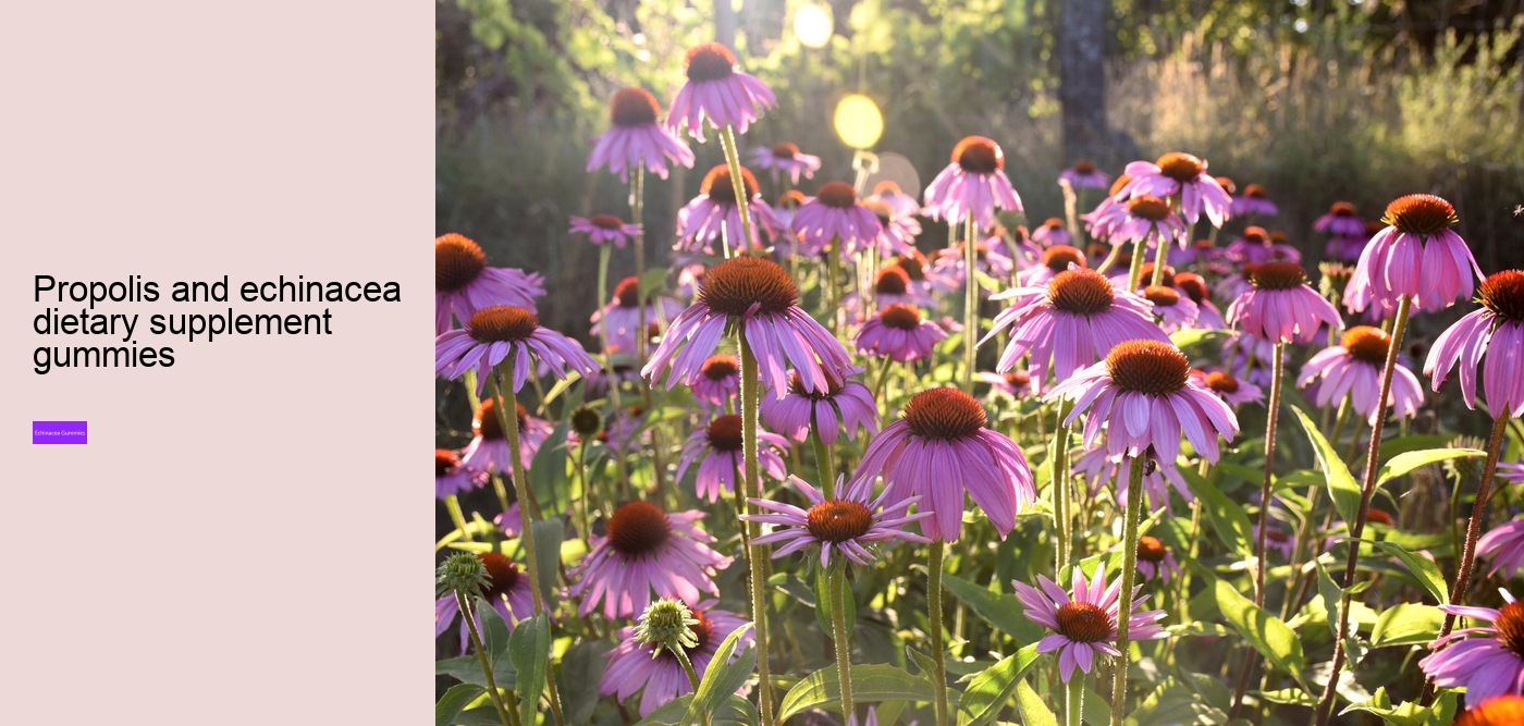 What vitamins are in echinacea?