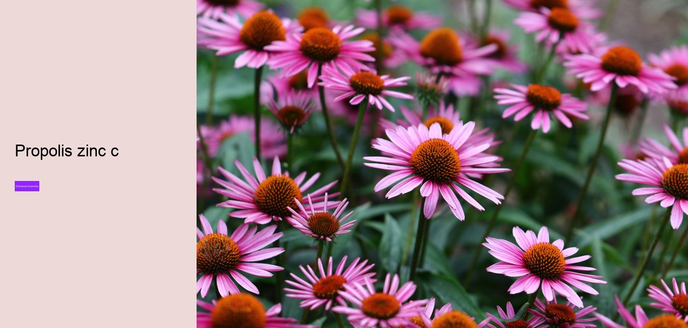 Can I take echinacea supplements everyday?