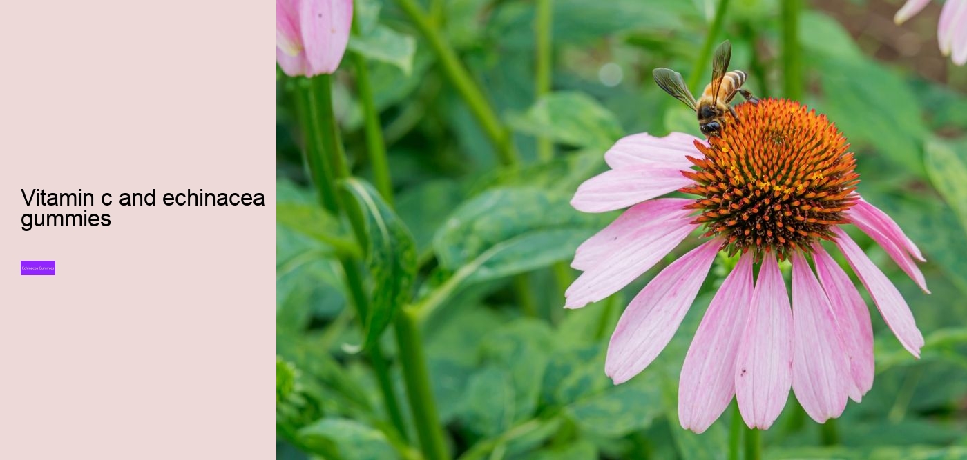 Does echinacea cleanse your body?