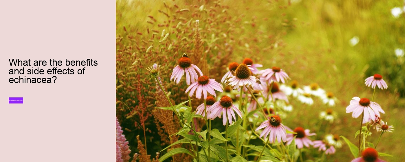 propolis and echinacea dietary supplement gummies