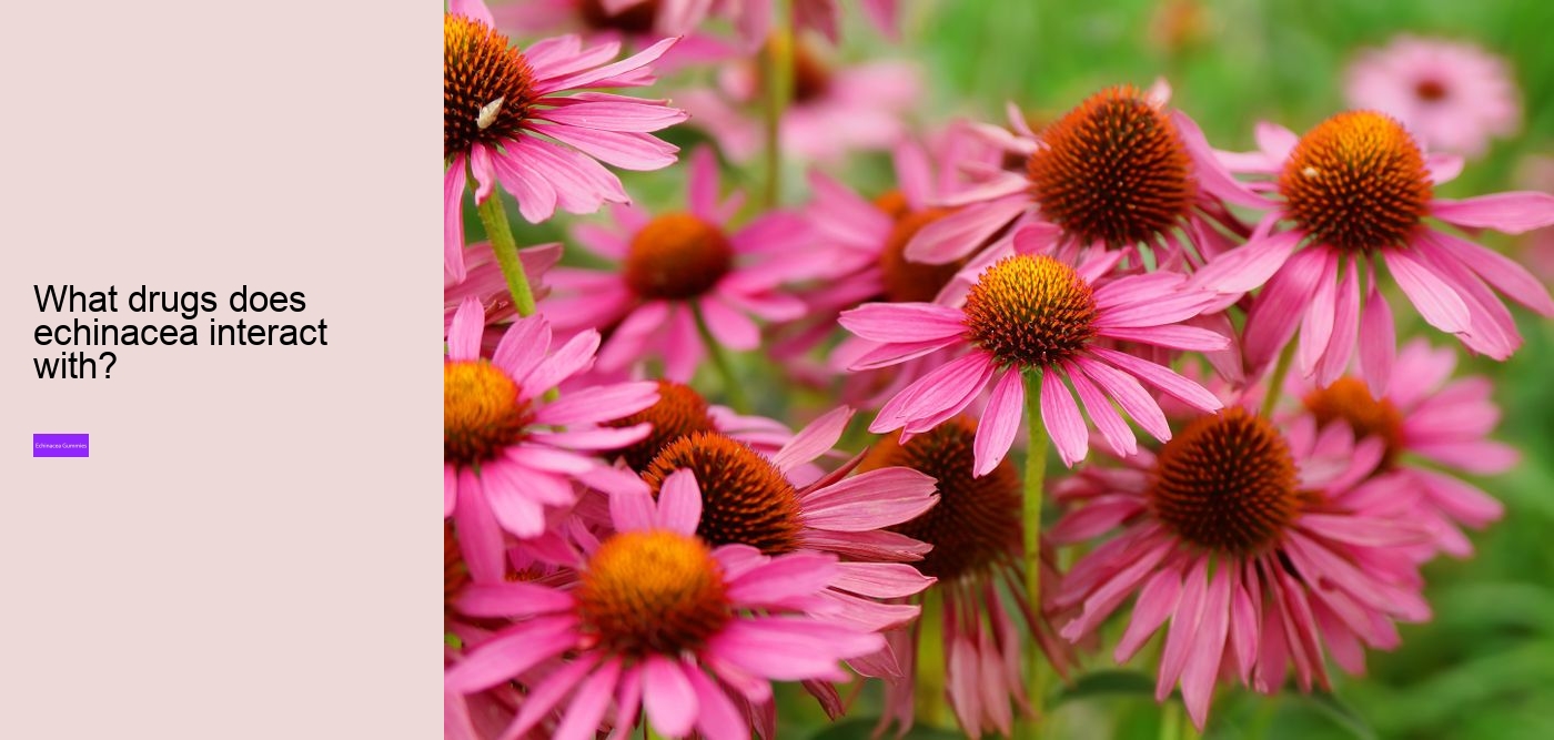 Is echinacea safe for heart?