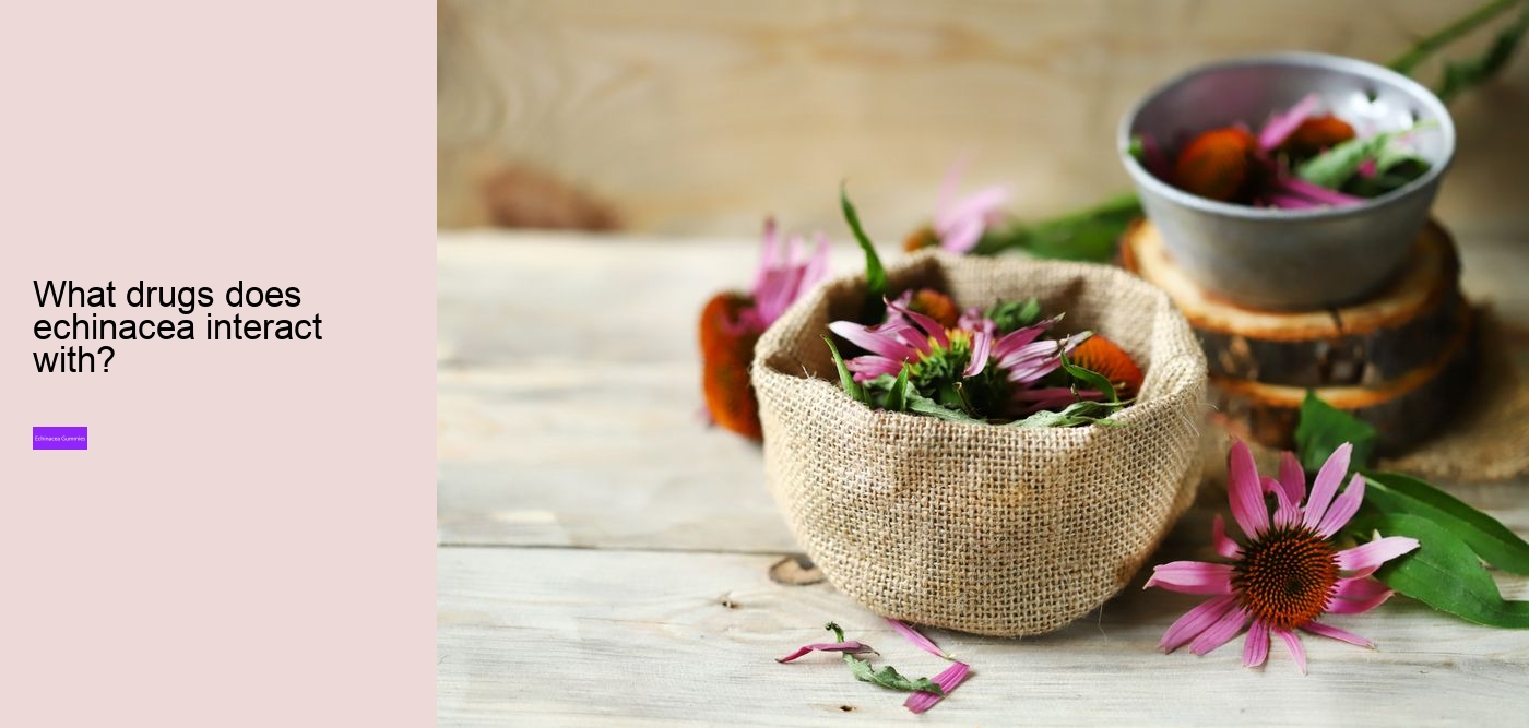 Is it OK to take echinacea every day?