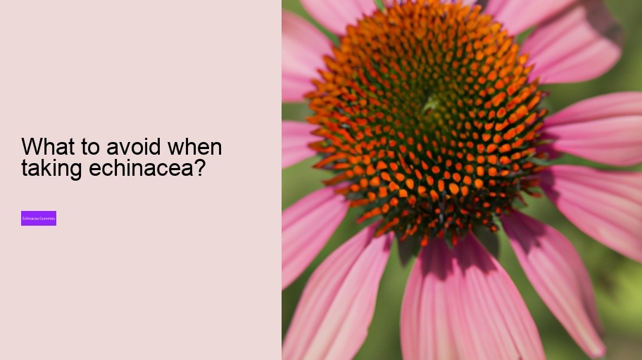 What to avoid when taking echinacea?