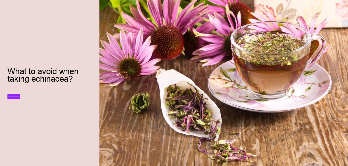 How long can you safely take echinacea?