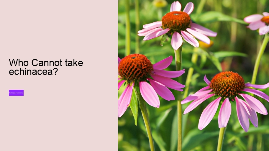 Who Cannot take echinacea?