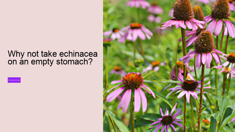 Why not take echinacea on an empty stomach?