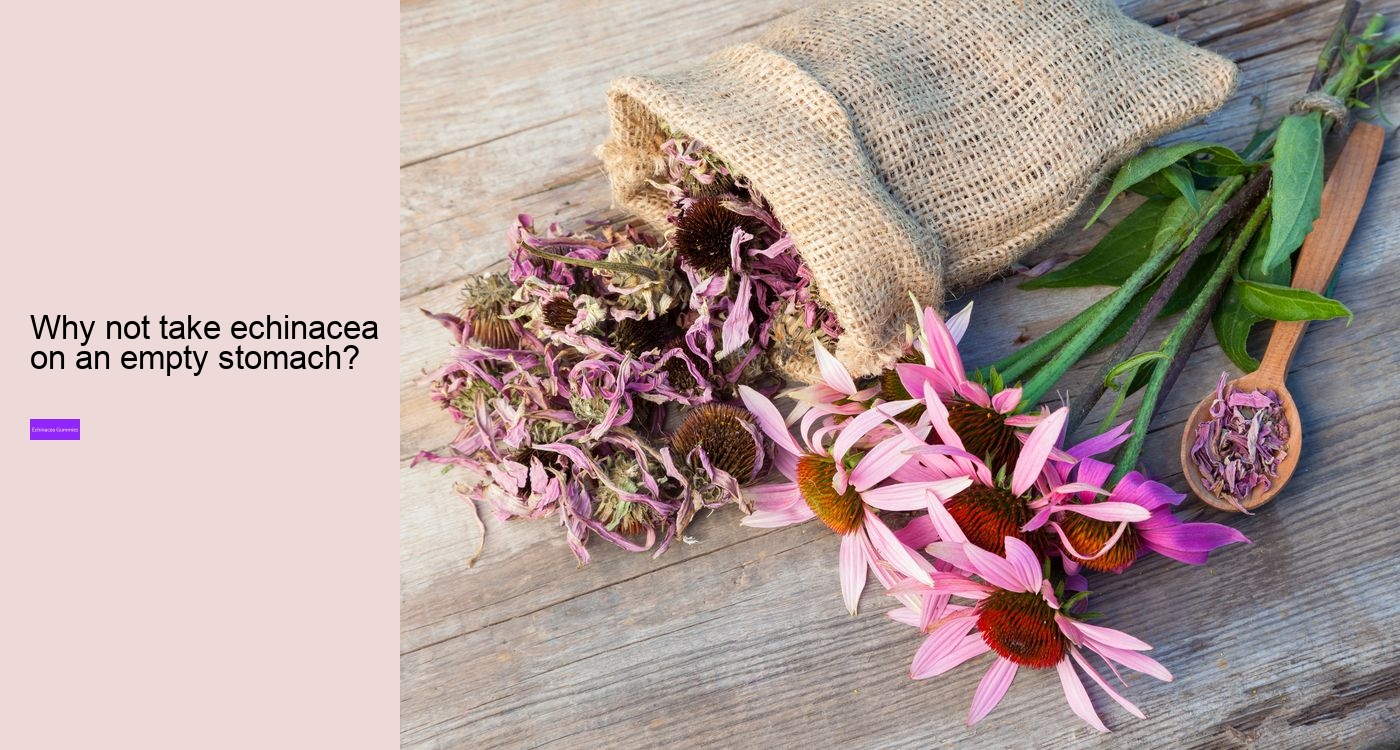 What are the benefits and side effects of echinacea?