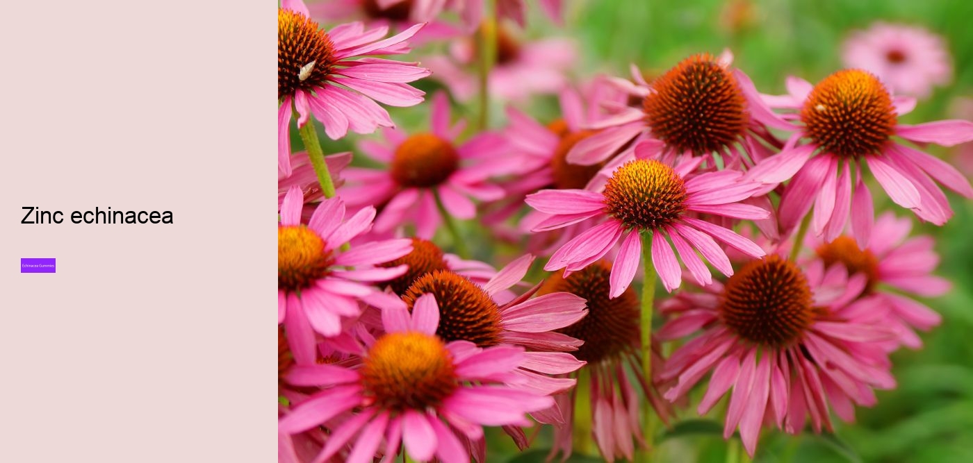 echinacea gummies