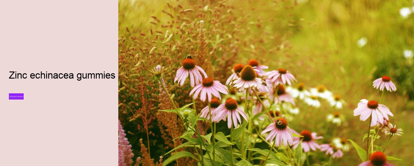 gummies vitamins zinc and echinacea